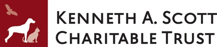 kenneth a scott logo
