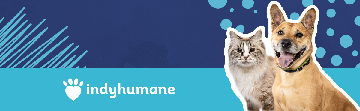 A fluffy cat and a happy brown dog with ears up, both outlined in white, on a blue background with playful lines and circular patterns | indyhumane logo